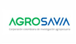 noticia-positiva-noticia